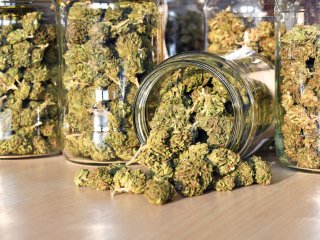 Beyond Buds Beyond Buds